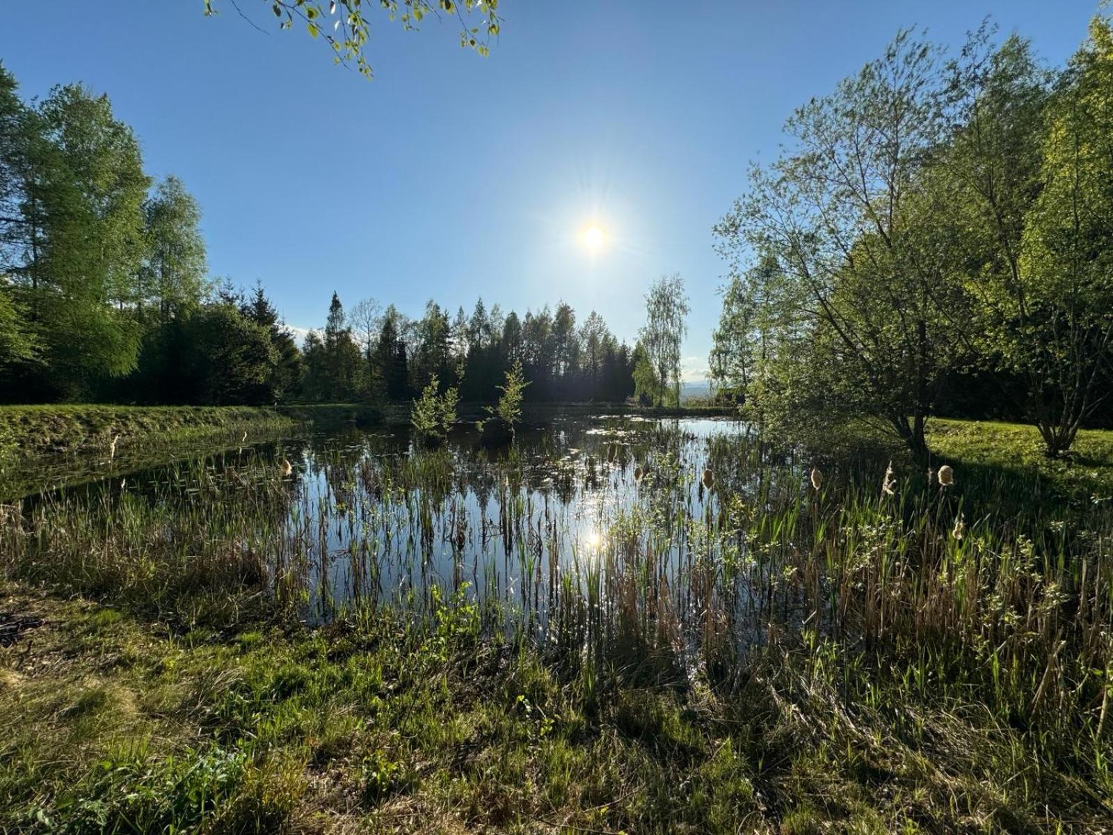 Bukolik Dom wakacyjny