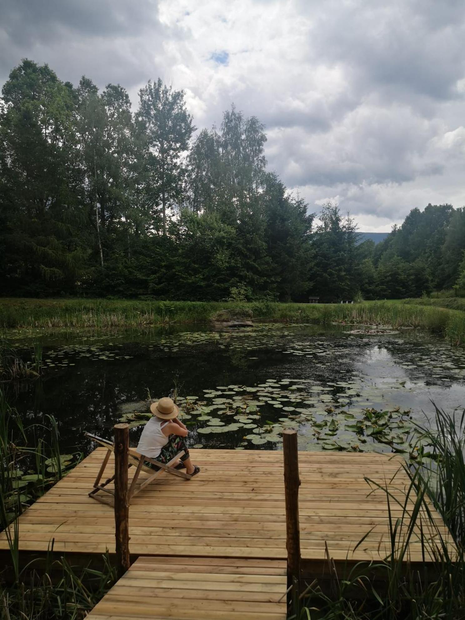 Bukolik Holiday home Bukowiec (Lower Silesia)